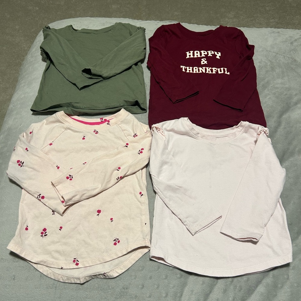 Toddler Girl Shirt Bundle
